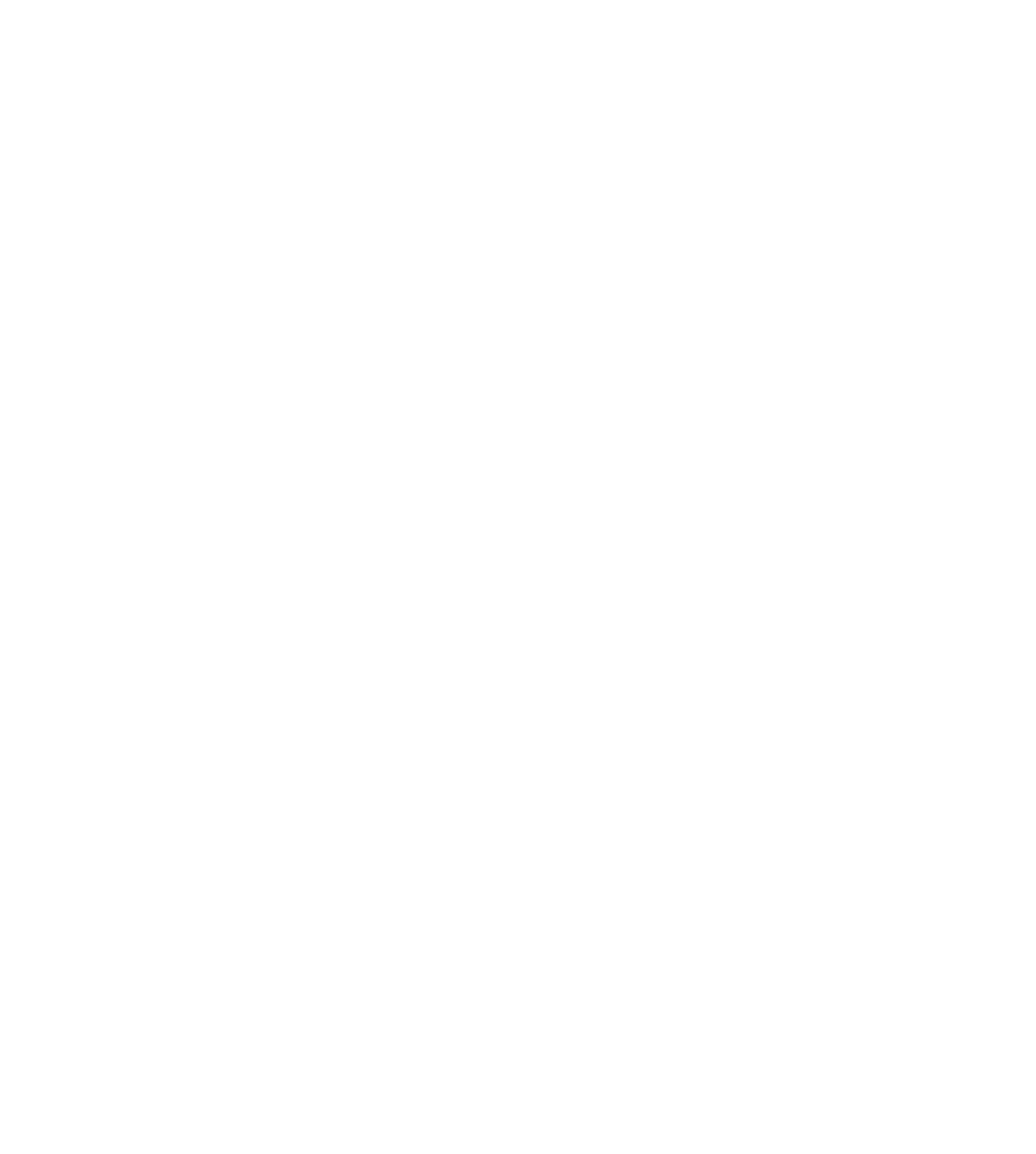 MagnaPRO logo